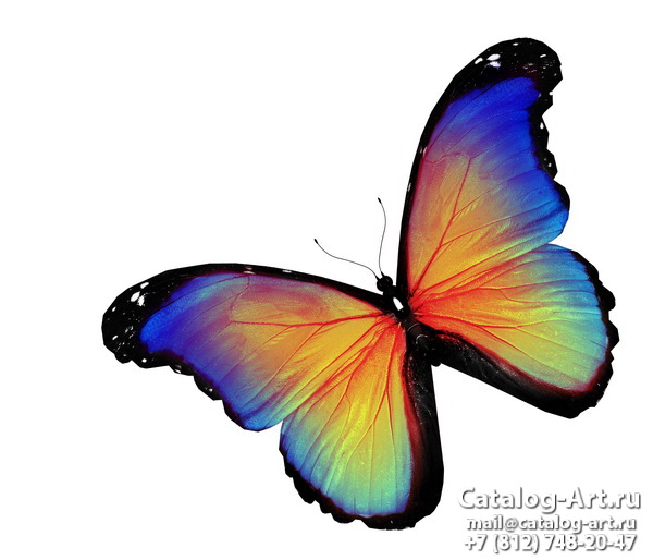  Butterflies 119